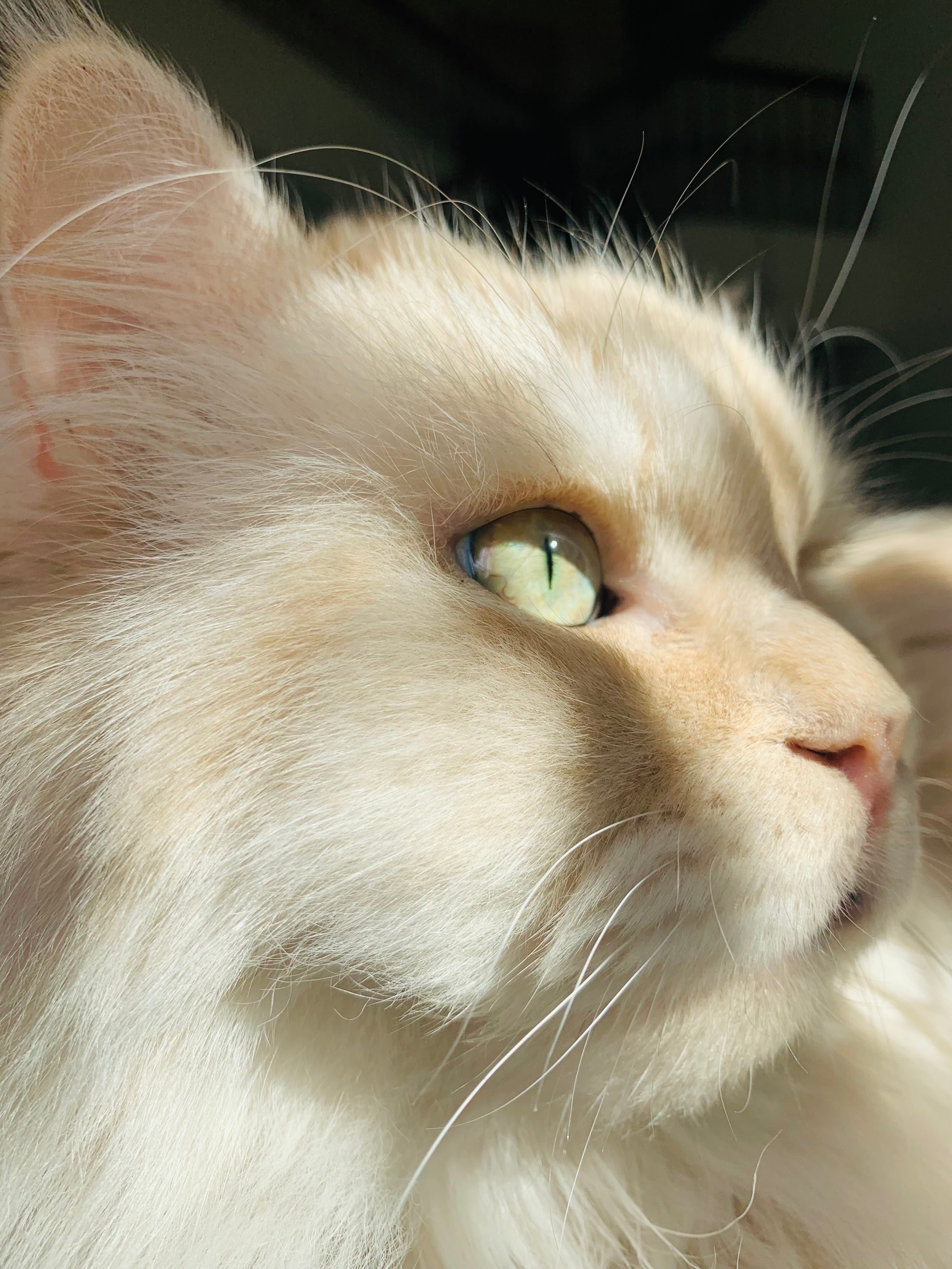 AIM30 Senior 15+ Years